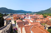 From Dubrovnik: Peljesac Wine Tasting Private Tour