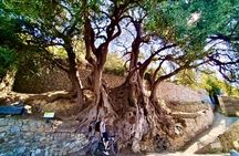 Roquebrune and Grimaldi Castle Walking Tour