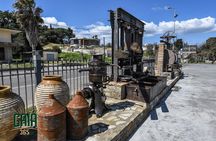 Olympia's Journey: Premium Olive Oil & Wine Tasting Tour