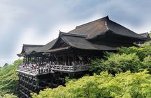 Discover Nara Park, Kyoto Highlights and Fushimi Inari from Osaka