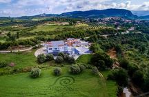 Olympia's Journey: Premium Olive Oil & Wine Tasting Tour