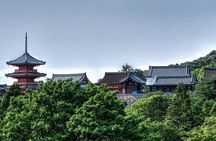 Discover Nara Park, Kyoto Highlights and Fushimi Inari from Osaka