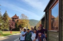 Mokra Gora and Tara National Park Tour from Zlatibor or Uzice