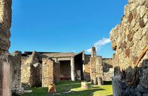 Pompeii,Oplontis,Herculaneum from Sorrento, Naples, Amalfi Coast