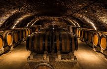 Chianti Brunch Small Group Tour: Lunch and Wine Tasting