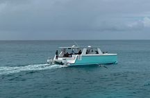 Private Beach Cruisin & Snorkeling Experience in Aruba