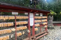 From Tokyo: Nikko, Kegon Waterfall & Chuzenji Lake