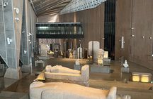 Luxury Skip-the-Line Grand Egyptian Museum Tour with Egyptologist