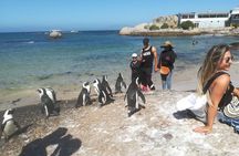 Private Tour:,Table Mountain ,Cape of Good hope & Penguins colony