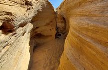 Agadir: Sandboarding Guided Experience & Visit of The Canyon
