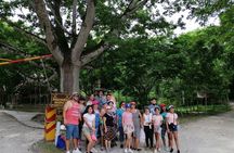 Private Exclusive Tour of Tikal for Families or Groups