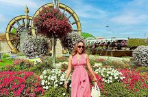 Dubai Miracle Garden with Audio Guide Tour