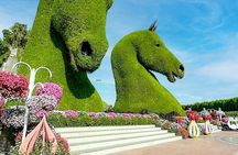 Dubai Miracle Garden with Audio Guide Tour
