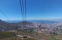 Private Tour:,Table Mountain ,Cape of Good hope & Penguins colony
