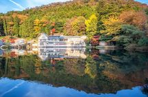 Fukuoka Kyushu Dazaifu, Nyoirin-ji Temple and Yufuin Day Tour