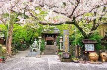 Fukuoka Kyushu Dazaifu, Nyoirin-ji Temple and Yufuin Day Tour