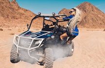 Family Buggy Adventure Desert Safari Tour In Sharm El Sheikh