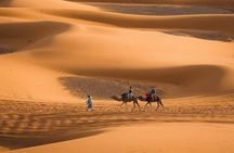 4-Day Sahara & Palm Oasis Adventure: Marrakech to Merzouga