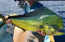 Baja Fishing Dream Roosterfish Dorado Marlin Yellowtail Tuna 