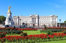 Full or Half Day London Sightseeing Tour with Licensed TFL Driver