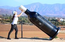 Valle de Guadalupe Wine Trail: Wine Tastings Included
