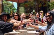Valle de Guadalupe Wine Trail: Wine Tastings Included
