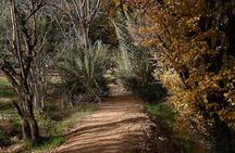 Guided tour of the Palmerie de Skoura by electric mountain bike