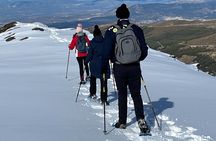 Hiking Snowshoeing in the Sierra Nevada Park, Granada