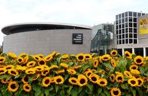 Van Gogh Museum Ticket with Audio Guide and Unlimited Access Time