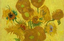 Amsterdam Van Gogh Guided Tour with Museum Highlights