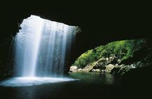 Gold Coast Day Tour From Brisbane