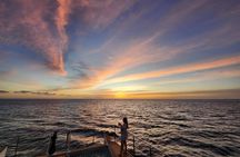 Oahu: Private Sunset Snorkel and Dolphin Watch with Hot Buffet