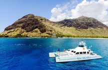 Oahu: Private Sunset Snorkel and Dolphin Watch with Hot Buffet