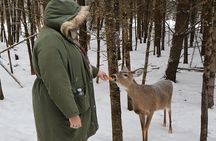 Montreal: Omega Park Canadian Wildlife Safari Adventure