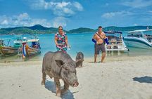 Pig Island Tour by Speedboat with Snorkeling