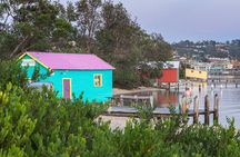 Tour from Eden to Merimbula Wetlands Wildlife and Coastline