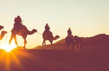 Luxor Camel Adventure Tour in West Bank