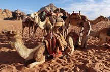 Luxor Camel Adventure Tour in West Bank