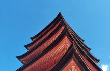 Hiroshima Highlights Guided Tour in 5.5 hours 