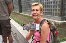 Private Terracotta Warriors Half Day Tour 