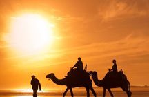 Thrilling Self Drive Dune Buggy Camel Trek, BBQ and Entertainment