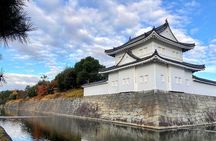 Kyoto Full Day Sightseeing Tour from Osaka or Kyoto