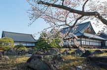 Kyoto Full Day Sightseeing Tour from Osaka or Kyoto