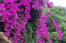 Soller Valley Walk with Orange Farm Visit