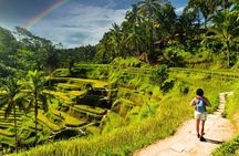 Bali Cultural Experience