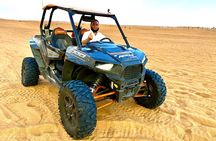 Dubai Desert Safari Camel Ride Sunset Photography and BBQ Dinner 