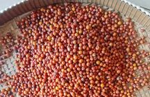 KAMPOT- Pepper farm .Cave . Secret Lake & salt fields 