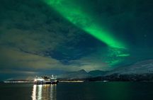 24hr Northern Lights & Whale Watching Cruise
