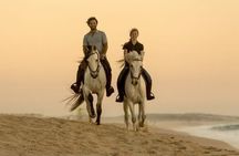 Doha Arabian Horseback Riding Adventure in Desert with Transfers