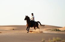 Doha Arabian Horseback Riding Adventure in Desert with Transfers